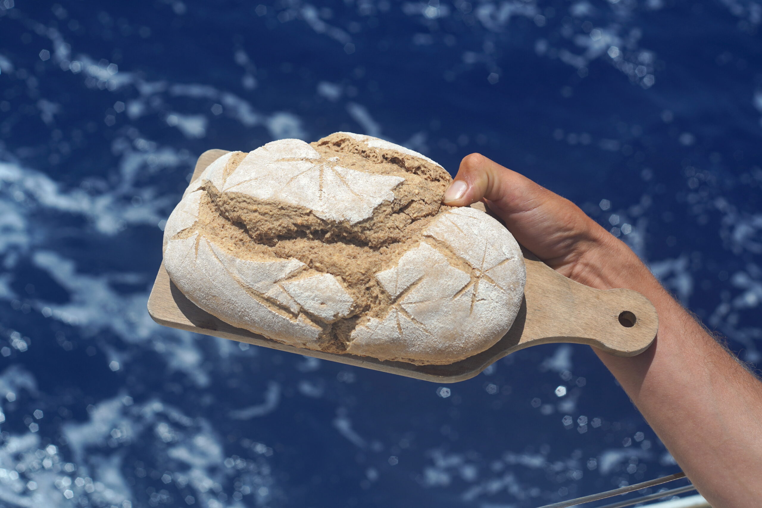 Transatlantique retour, partie 1 : Martinique > Açores